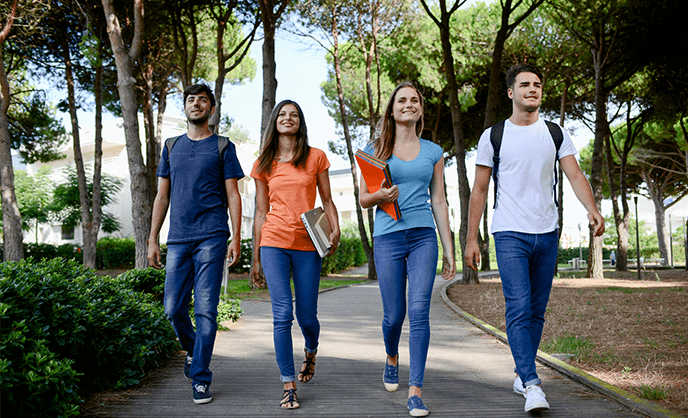 Student Life in Netherlands